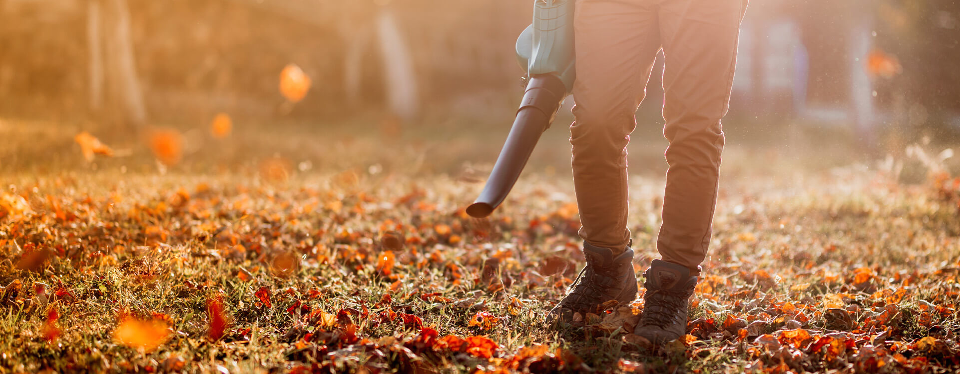 Hardscaping Services