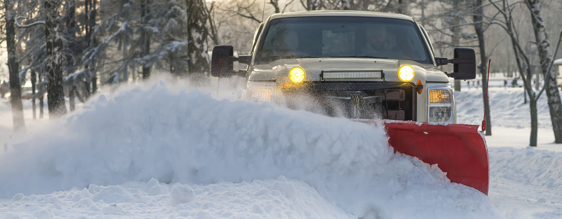 Landscaping Services